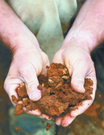 Winemaker Ken Wright holds freshly unearthed soil from Abbott Claim Vineyard in the Yamhill-Carlton AVA. Soil diversity is one of several complicated factors that make Yamhill Valley wines distinct. / Andrea Johnson Photography